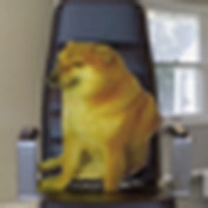 Meet your Posher, Doob